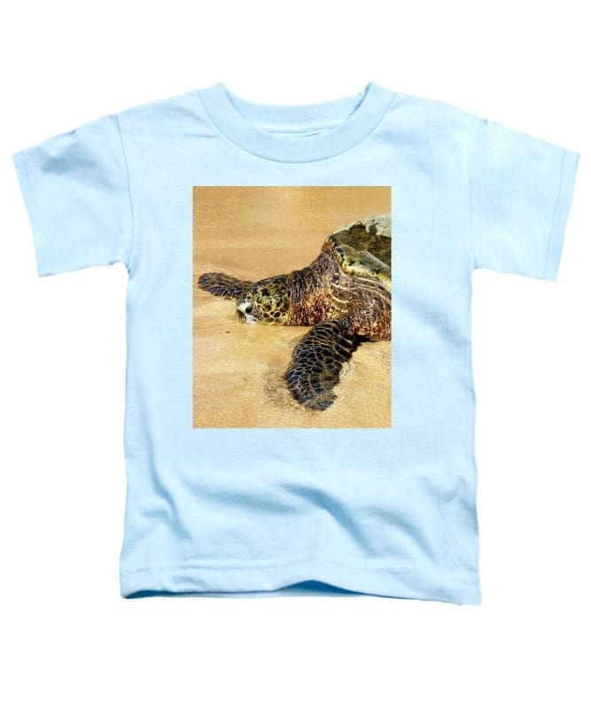 Glistening Journey - Toddler T-Shirt - Fry1Productions