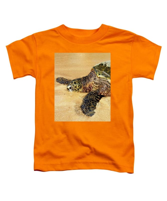Glistening Journey - Toddler T-Shirt - Fry1Productions