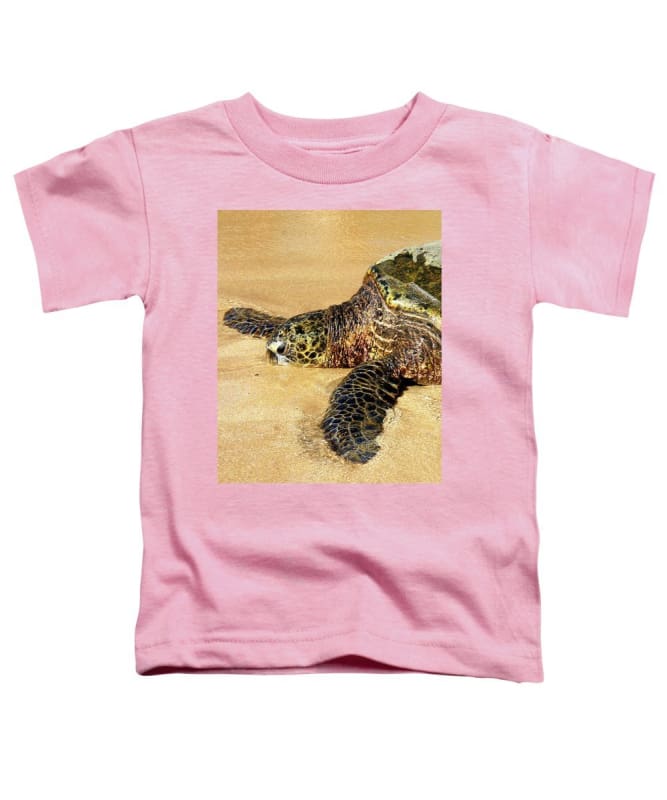 Glistening Journey - Toddler T-Shirt - Fry1Productions
