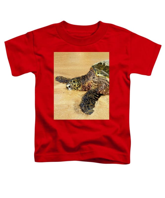 Glistening Journey - Toddler T-Shirt - Fry1Productions