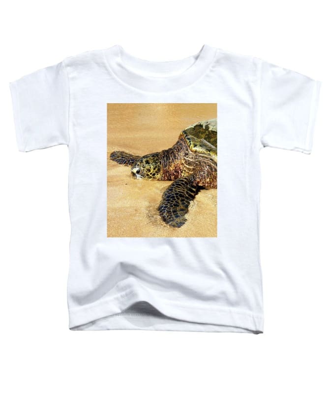 Glistening Journey - Toddler T-Shirt - Fry1Productions
