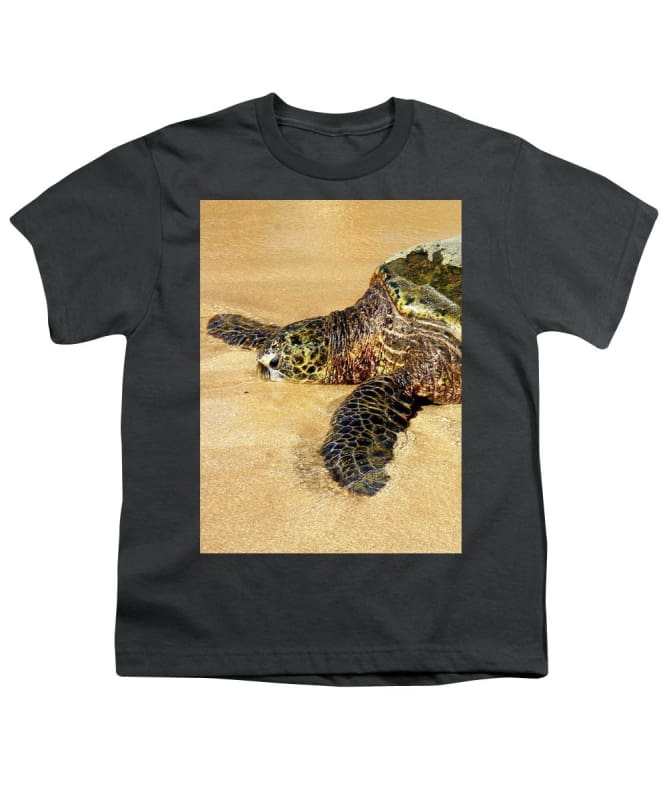 "Glistening Journey" - Youth T-Shirt - Fry1Productions
