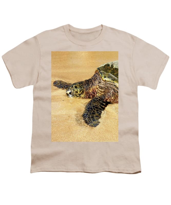 "Glistening Journey" - Youth T-Shirt - Fry1Productions