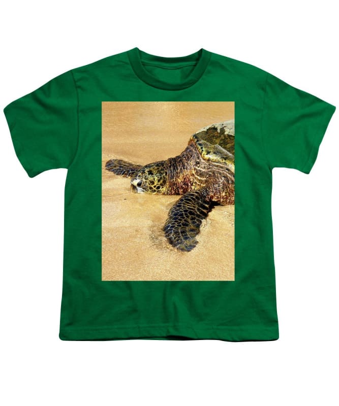 "Glistening Journey" - Youth T-Shirt - Fry1Productions