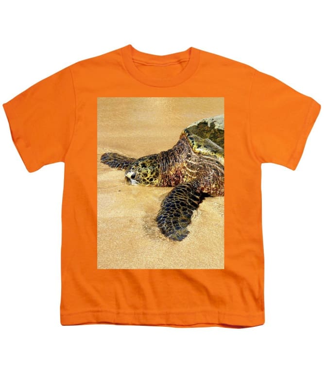 "Glistening Journey" - Youth T-Shirt - Fry1Productions
