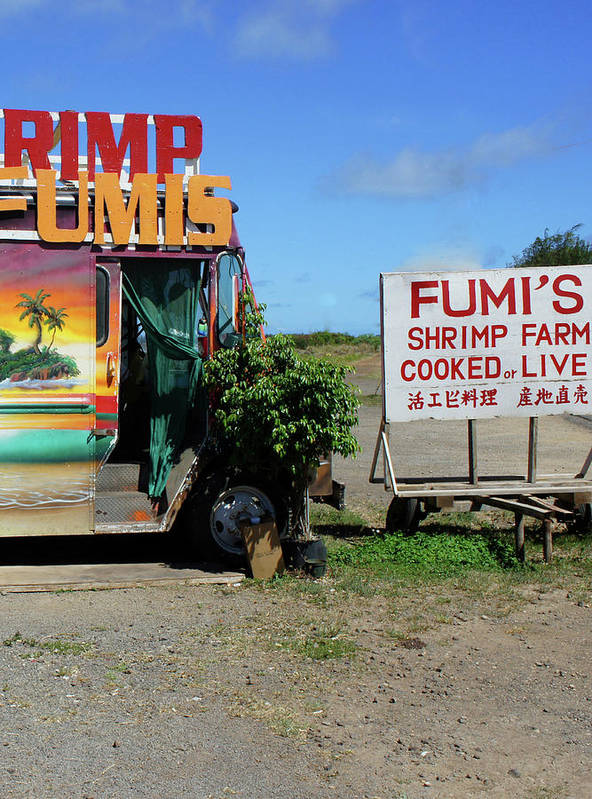 Kaulana Delights - Art Print - Fry1Productions