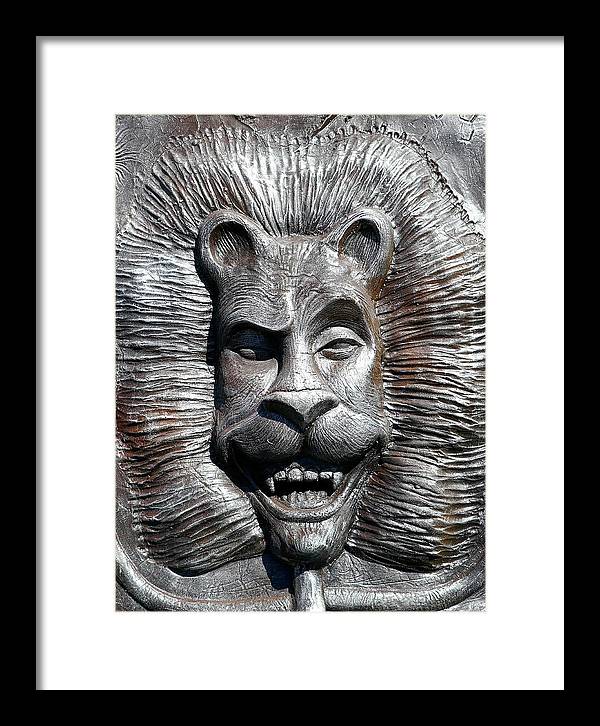 Lion's Friends Forever - Framed Print - Fry1Productions