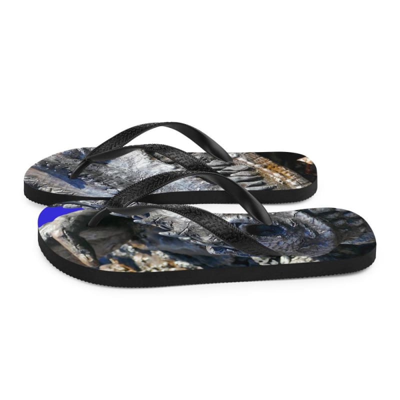 Delectable Vision - Flip-Flops - Fry1Productions