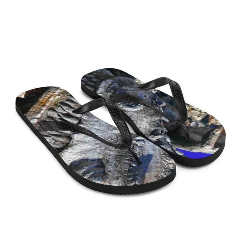 Delectable Vision - Flip-Flops - Fry1Productions