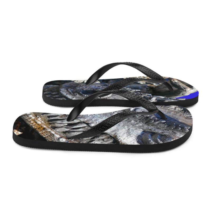 Delectable Vision - Flip-Flops - Fry1Productions