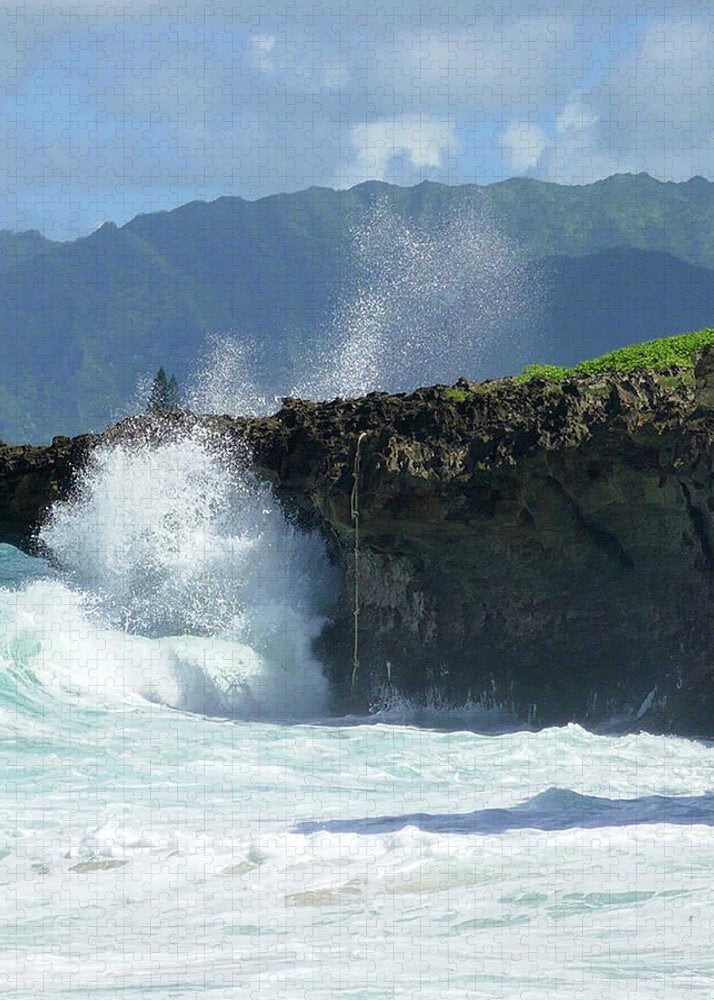 "Rockin Surfer's Rope" - Puzzle - Fry1Productions