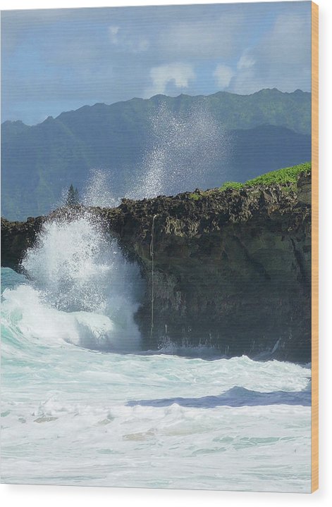 Rockin Surfer's Rope - Wood Print - Fry1Productions