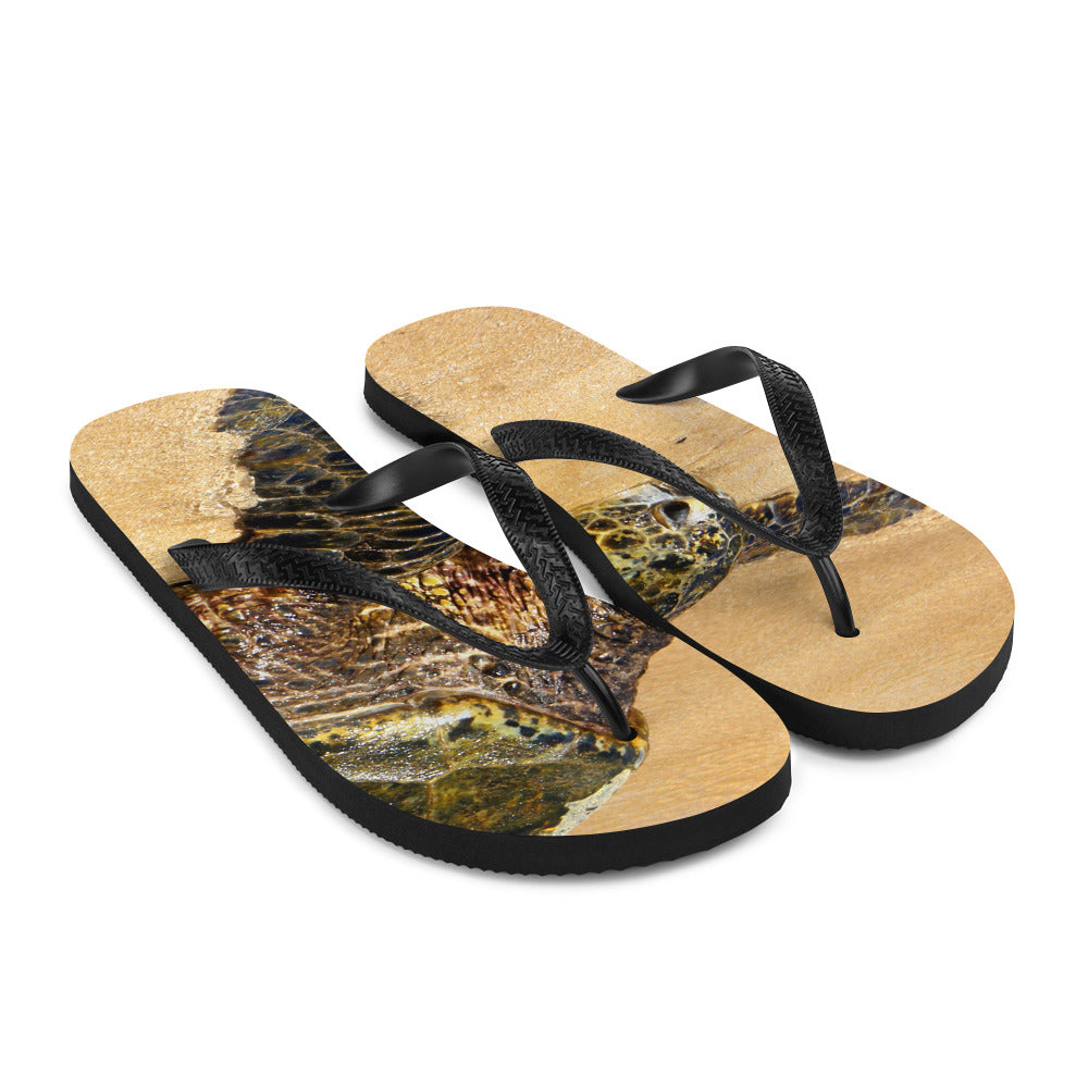 Glistening Journey - Flip-Flops - Fry1Productions