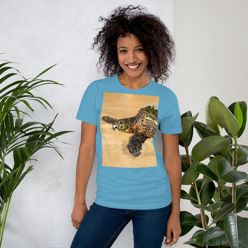 "Glistening Journey" - Unisex Premium T-Shirt - Fry1Productions