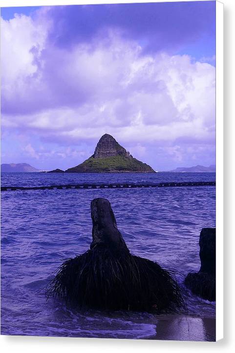 Wade To Chinaman's Hat - Canvas Print - Fry1Productions