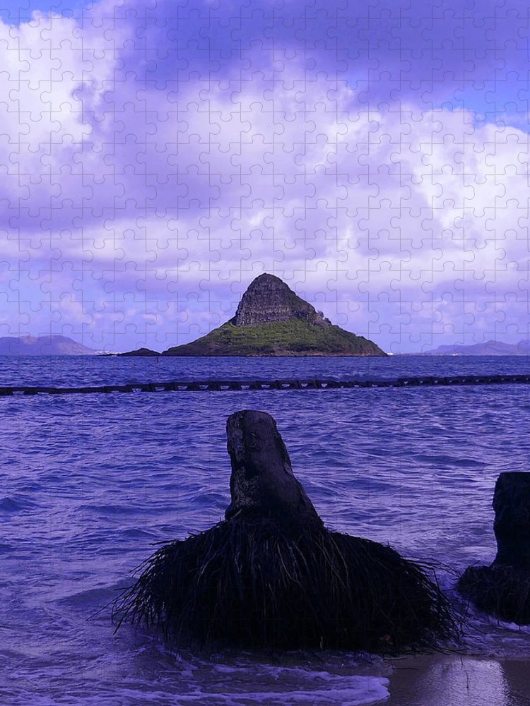 "Wade To Chinaman's Hat" - Puzzle - Fry1Productions