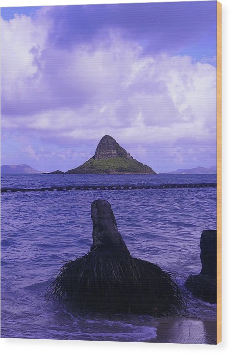 Wade To Chinaman's Hat - Wood Print - Fry1Productions
