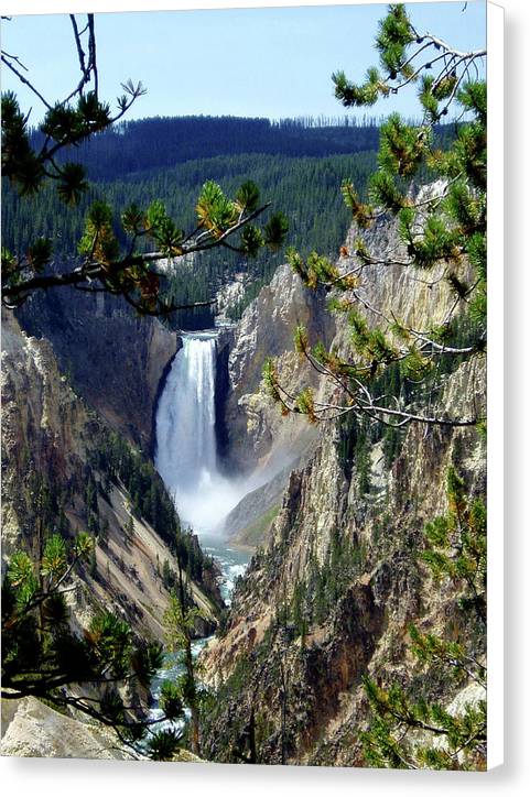Yellowstone's Splendor - Canvas Print - Fry1Productions