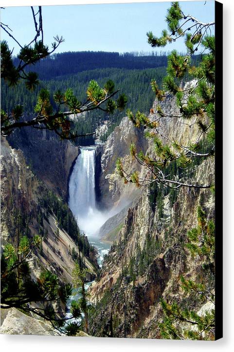 Yellowstone's Splendor - Canvas Print - Fry1Productions