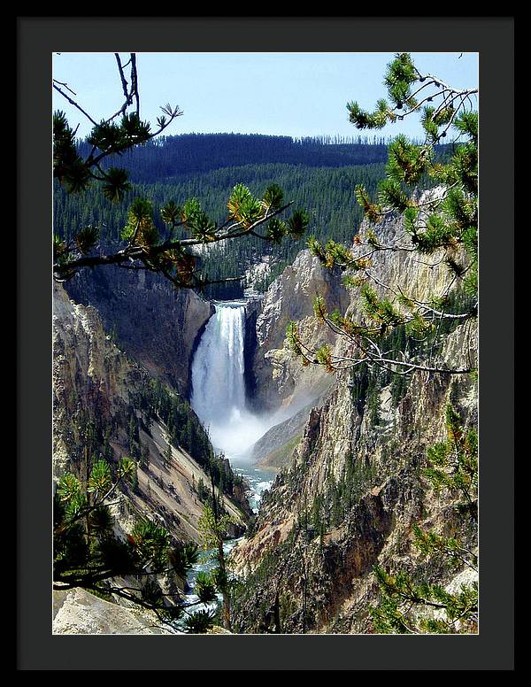 Yellowstone's Splendor - Framed Print - Fry1Productions