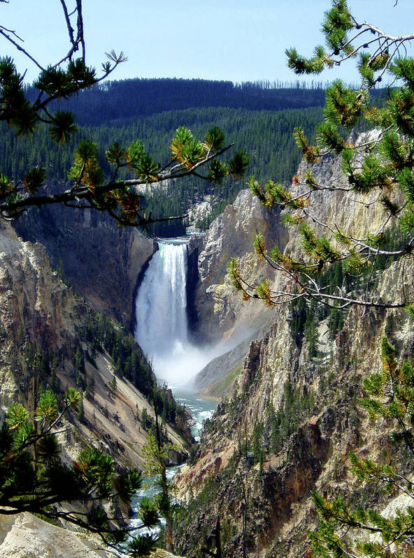 Yellowstone's Splendor - Art Print - Fry1Productions