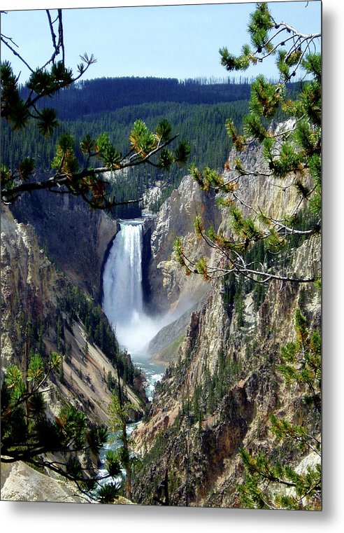 Yellowstone's Splendor - Metal Print - Fry1Productions