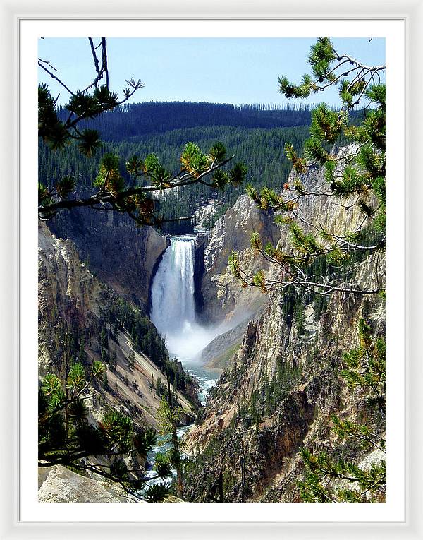 Yellowstone's Splendor - Framed Print - Fry1Productions