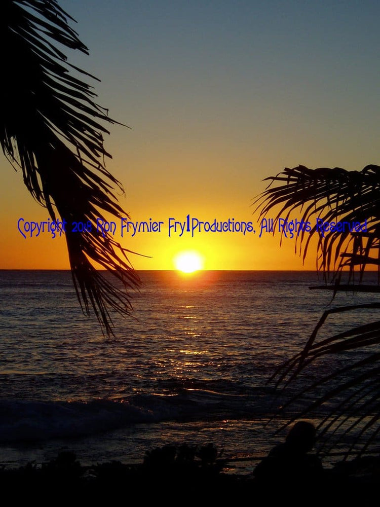 Golden Palms