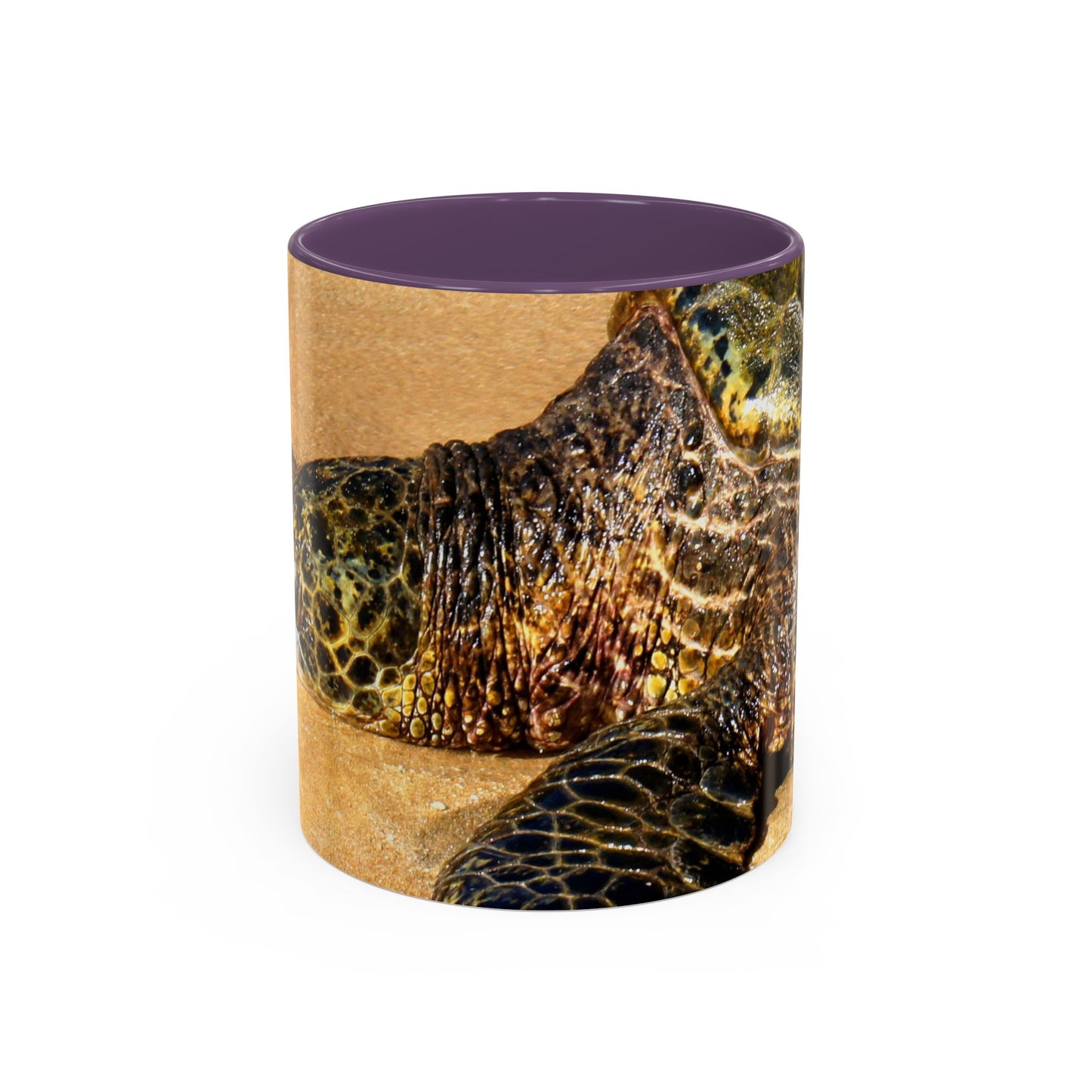 Glistening Journey - Accent Coffee Mug (11, 15oz)