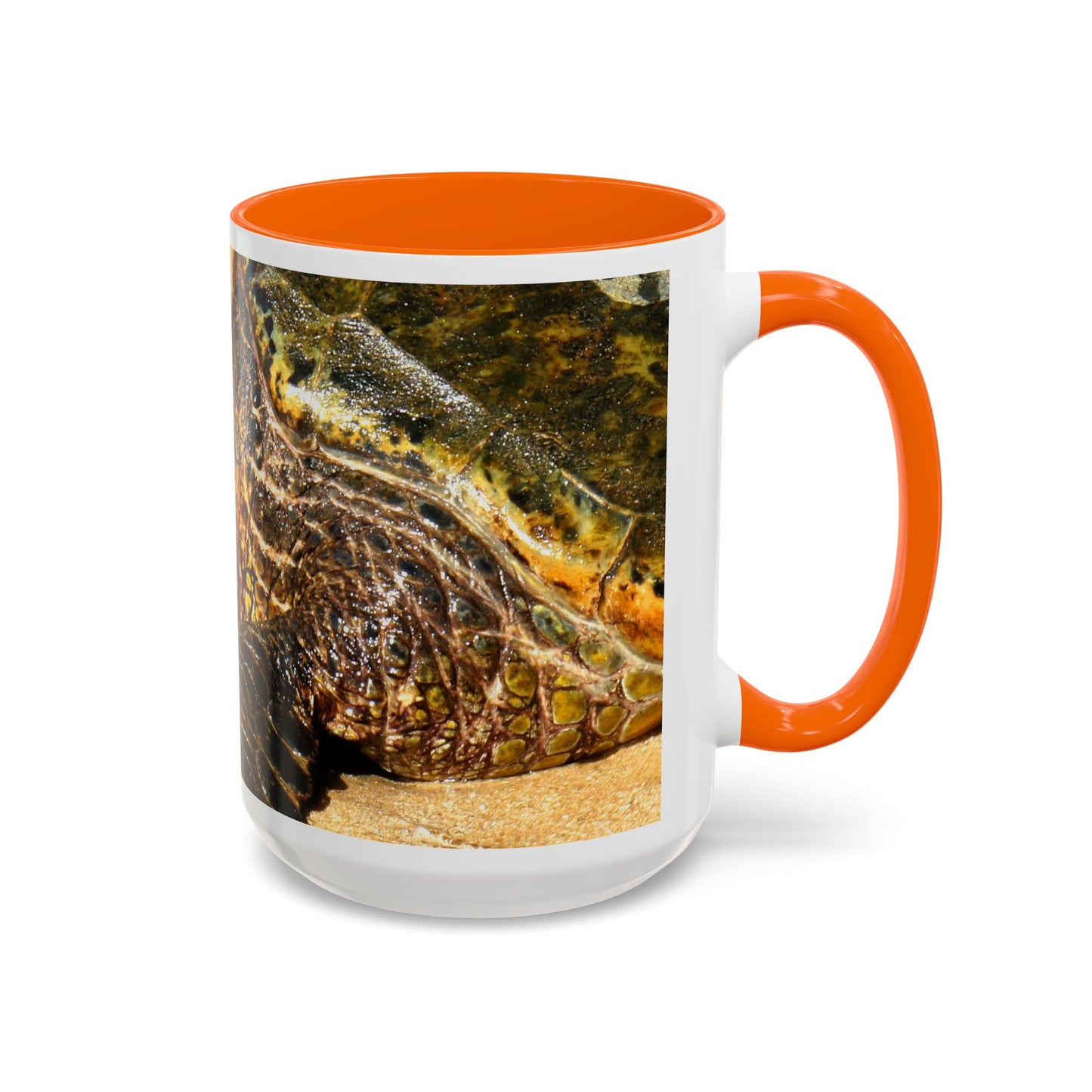 Glistening Journey - Accent Coffee Mug (11, 15oz)