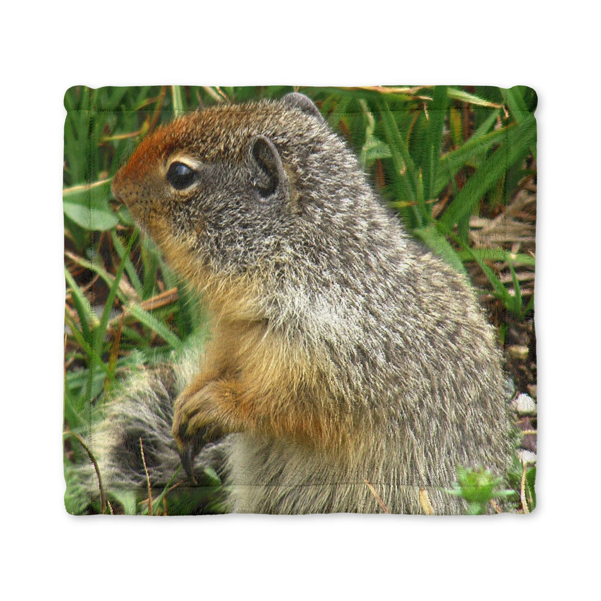 Inquisitive Stare - Minkey Baby Lovey Blanket