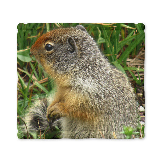 Inquisitive Stare - Minkey Baby Lovey Blanket