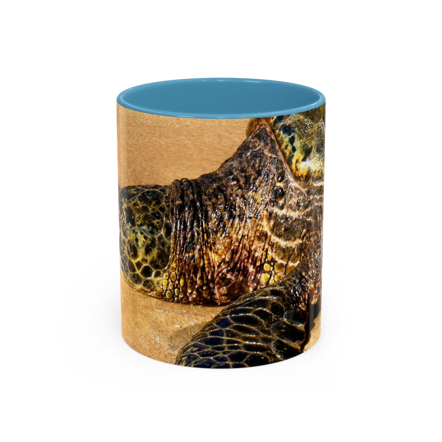 Glistening Journey - Accent Coffee Mug (11, 15oz)