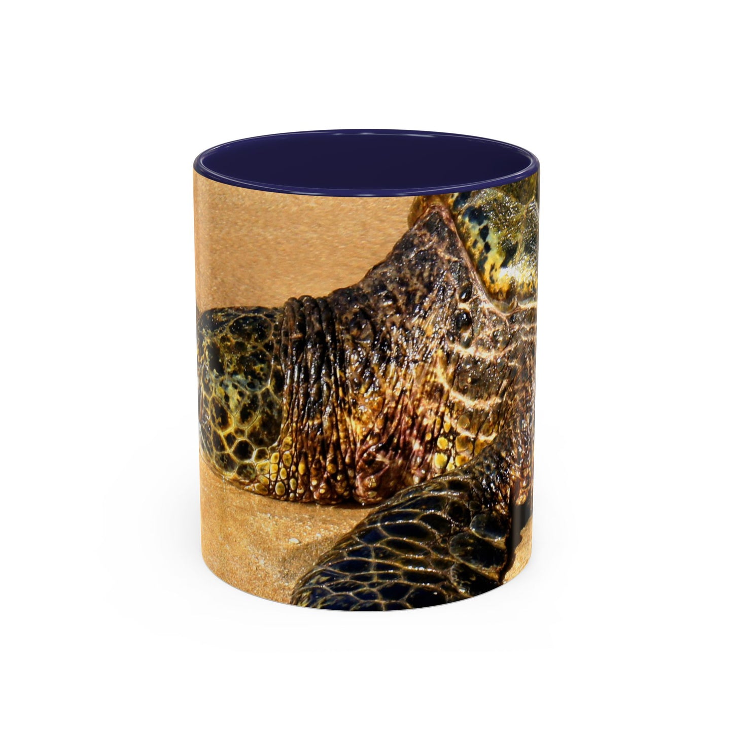 Glistening Journey - Accent Coffee Mug (11, 15oz)