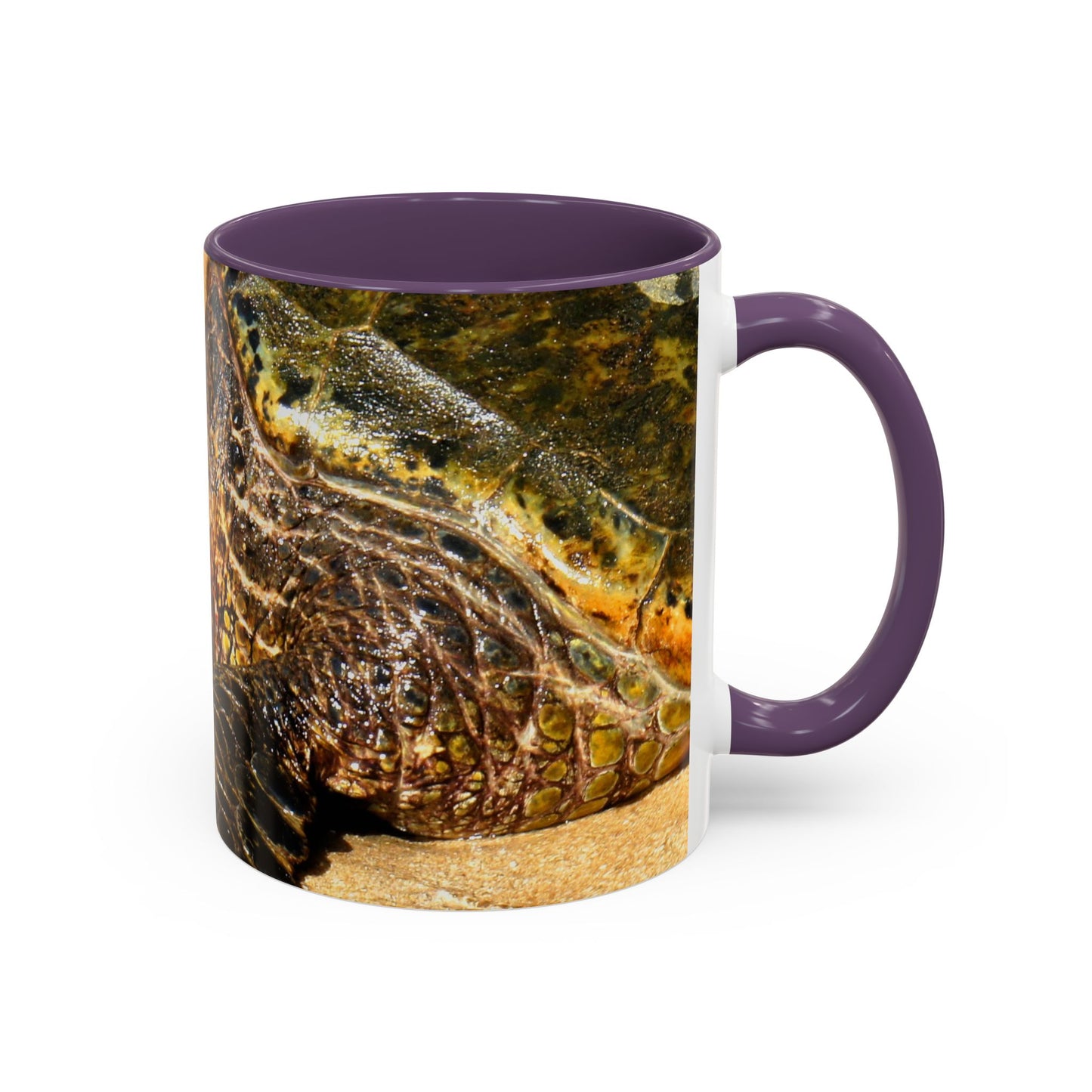 Glistening Journey - Accent Coffee Mug (11, 15oz)