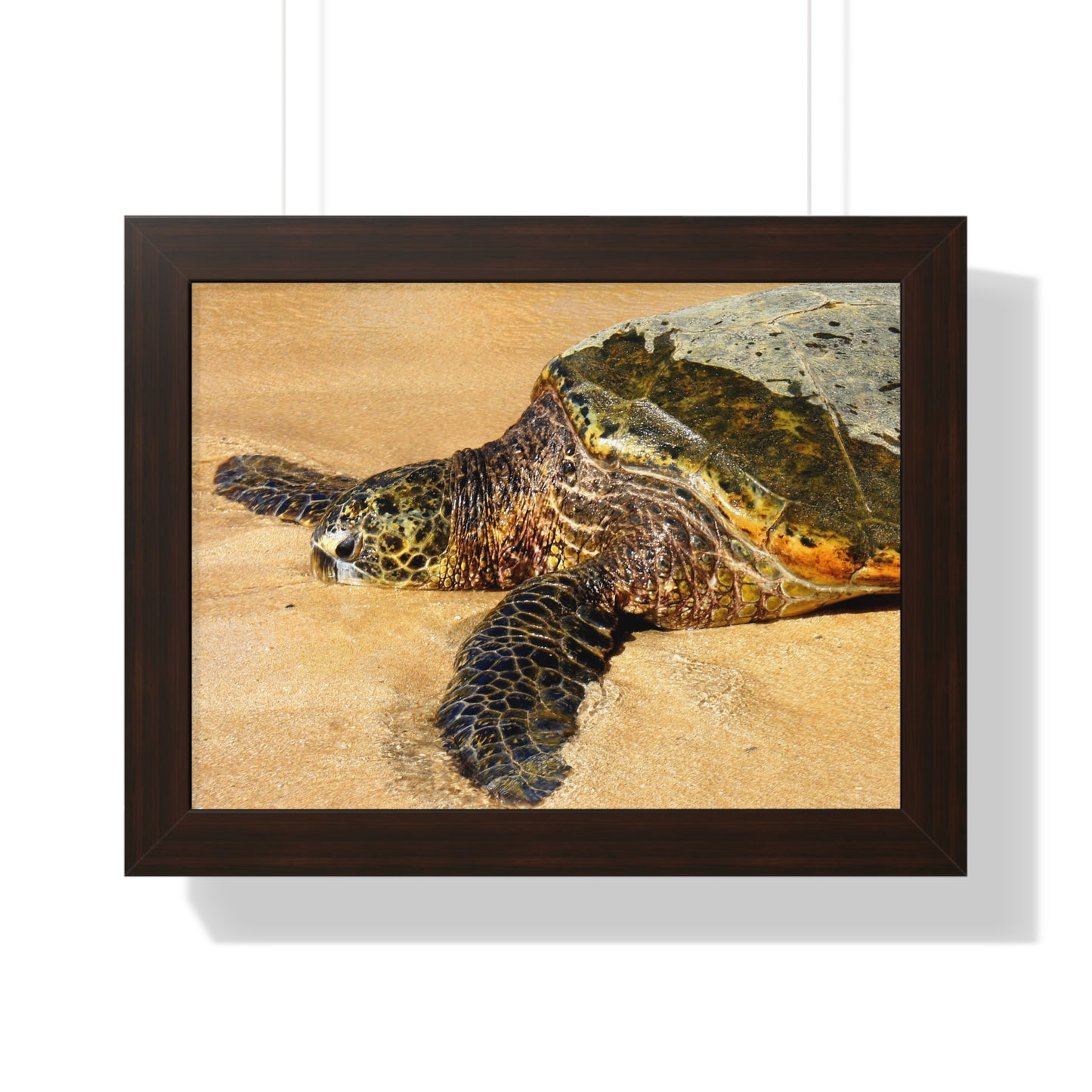 Glistening Journey - Framed Horizontal Poster