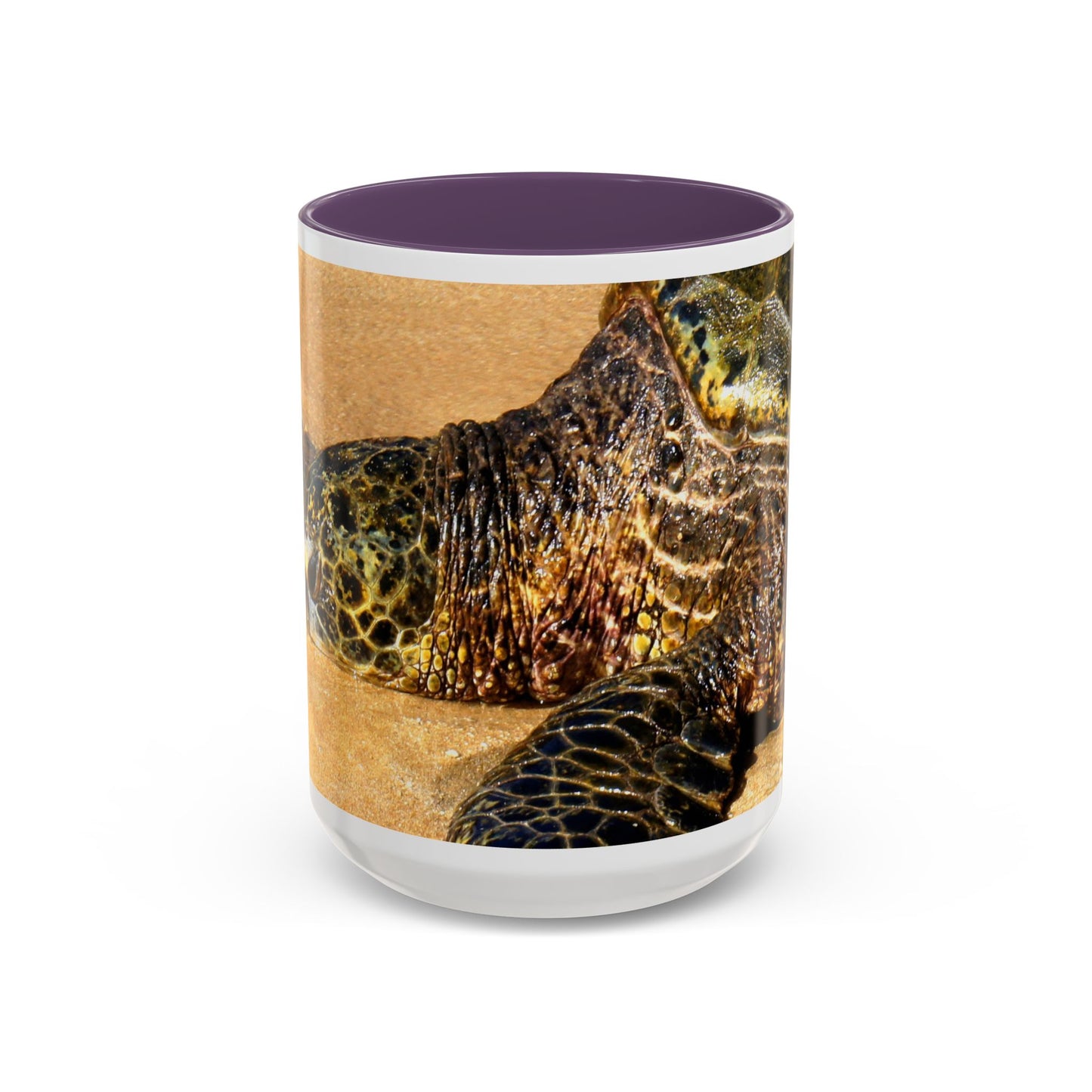 Glistening Journey - Accent Coffee Mug (11, 15oz)