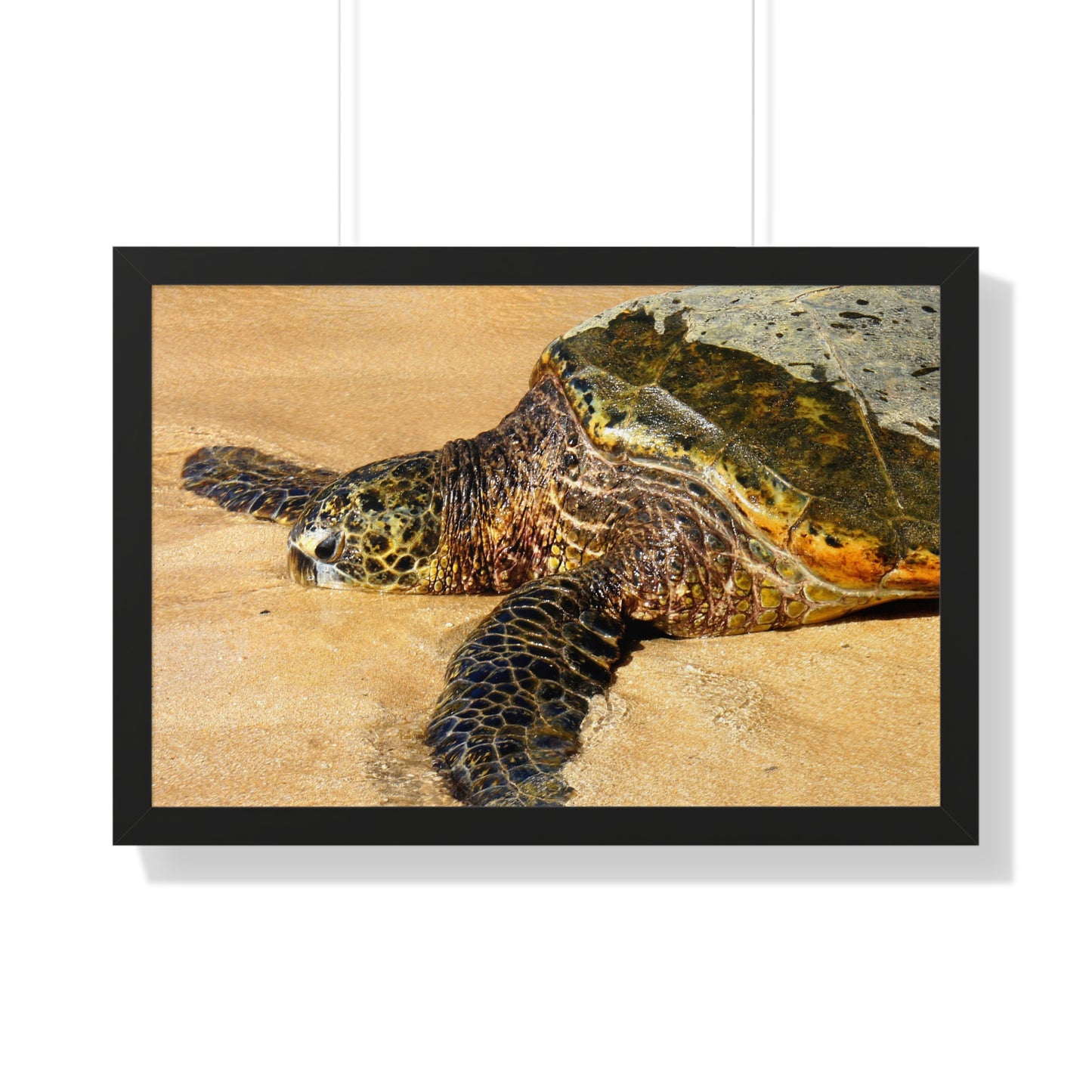 Glistening Journey - Framed Horizontal Poster