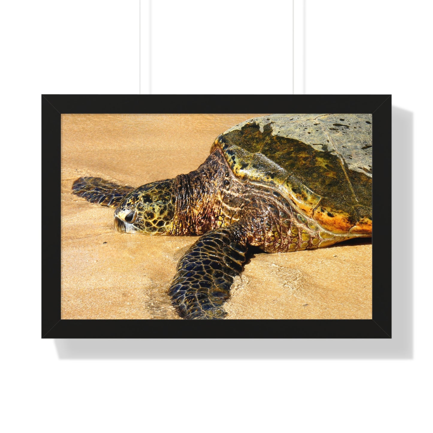 Glistening Journey - Framed Horizontal Poster