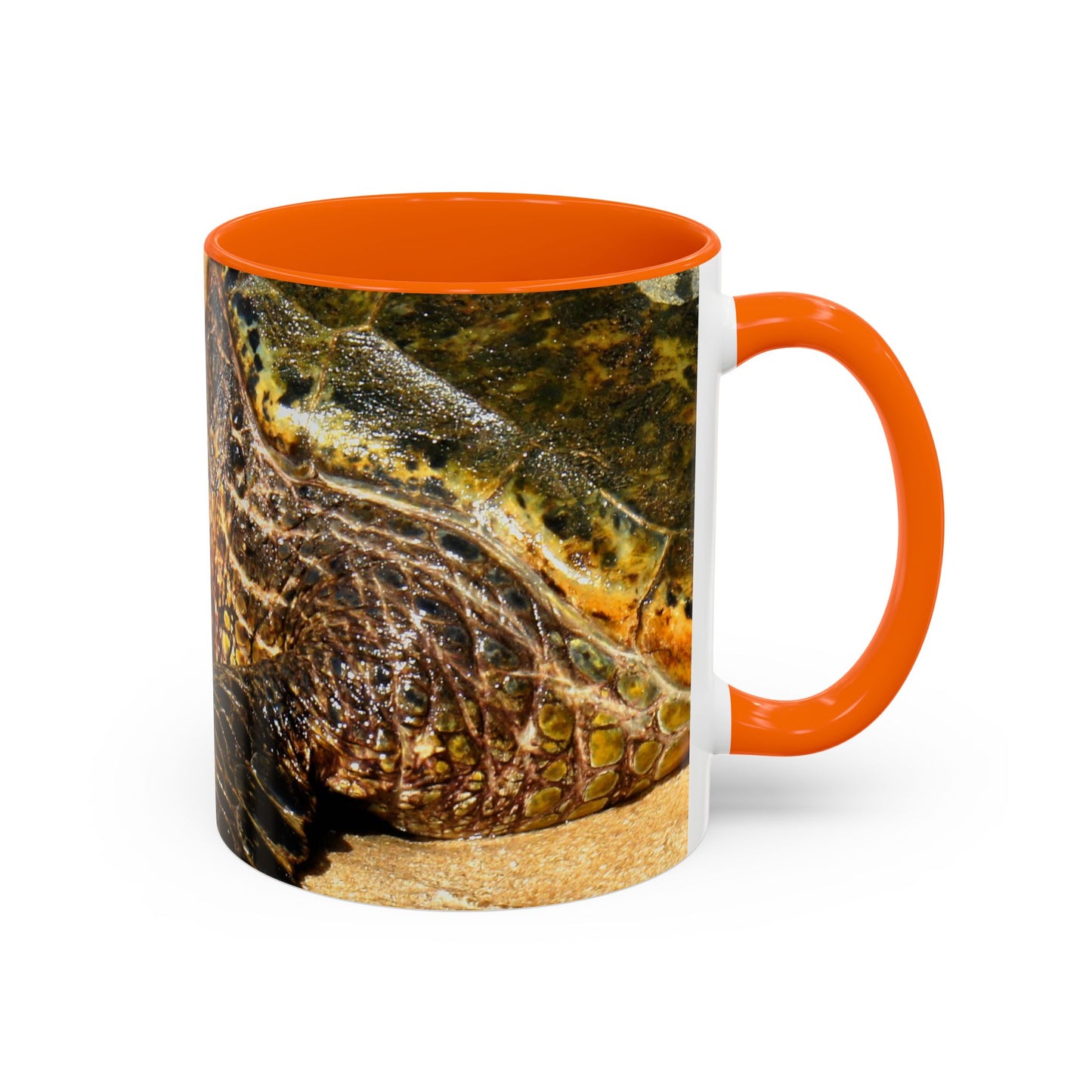 Glistening Journey - Accent Coffee Mug (11, 15oz)