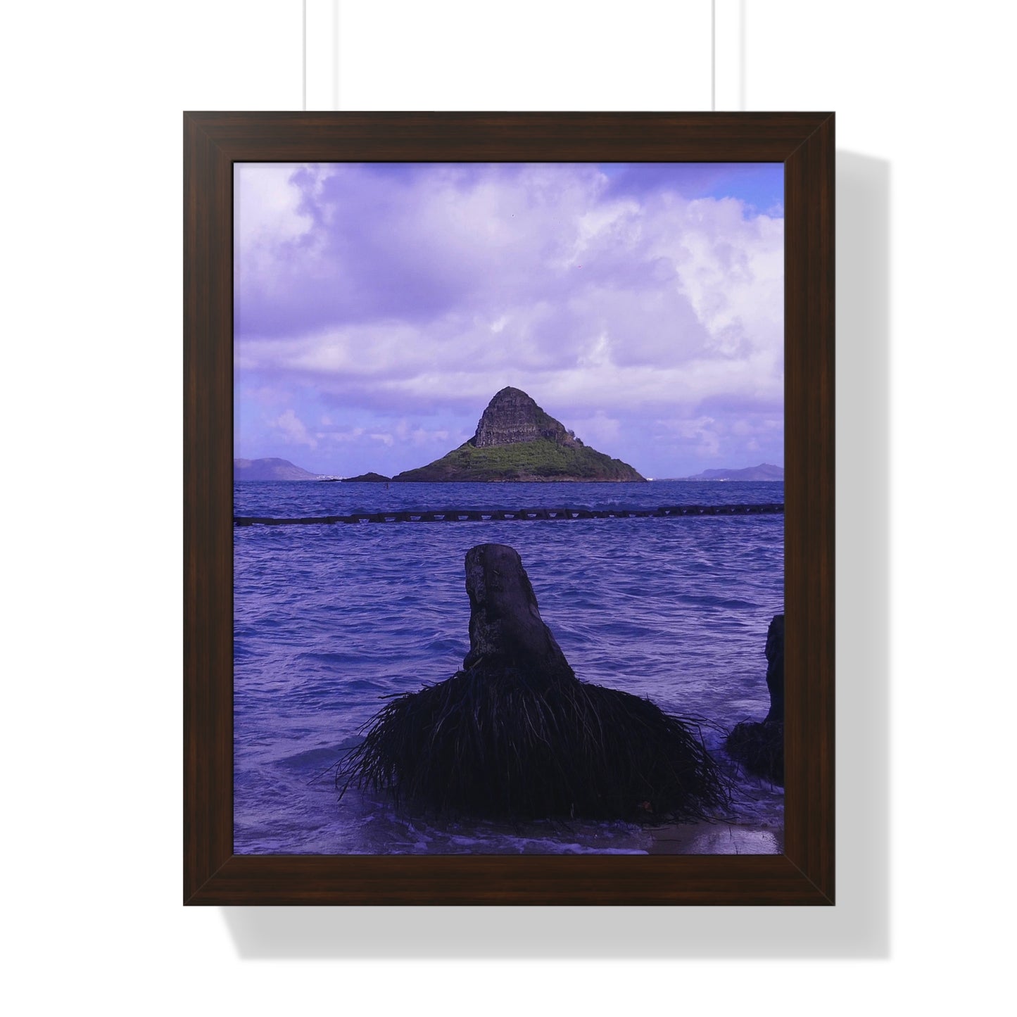 Wade To Chinaman's Hat - Framed Vertical Poster