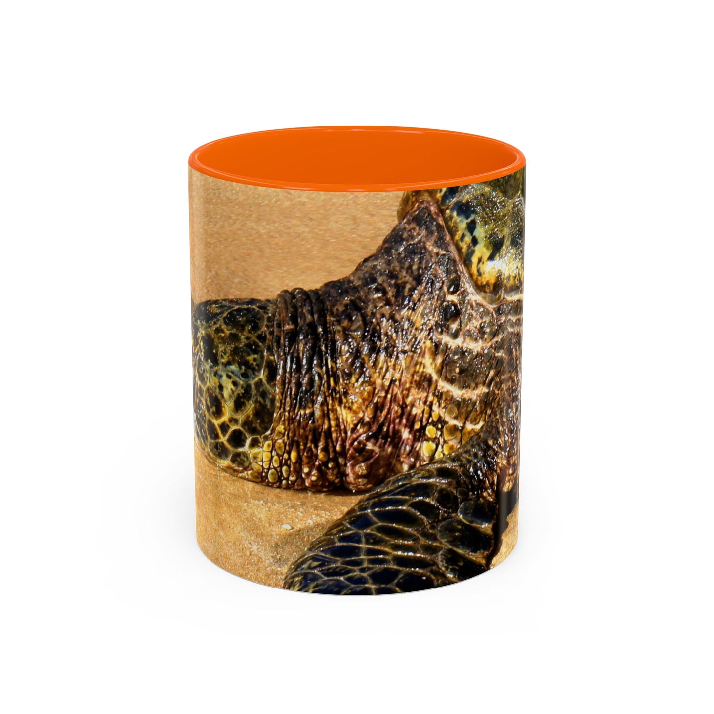 Glistening Journey - Accent Coffee Mug (11, 15oz)