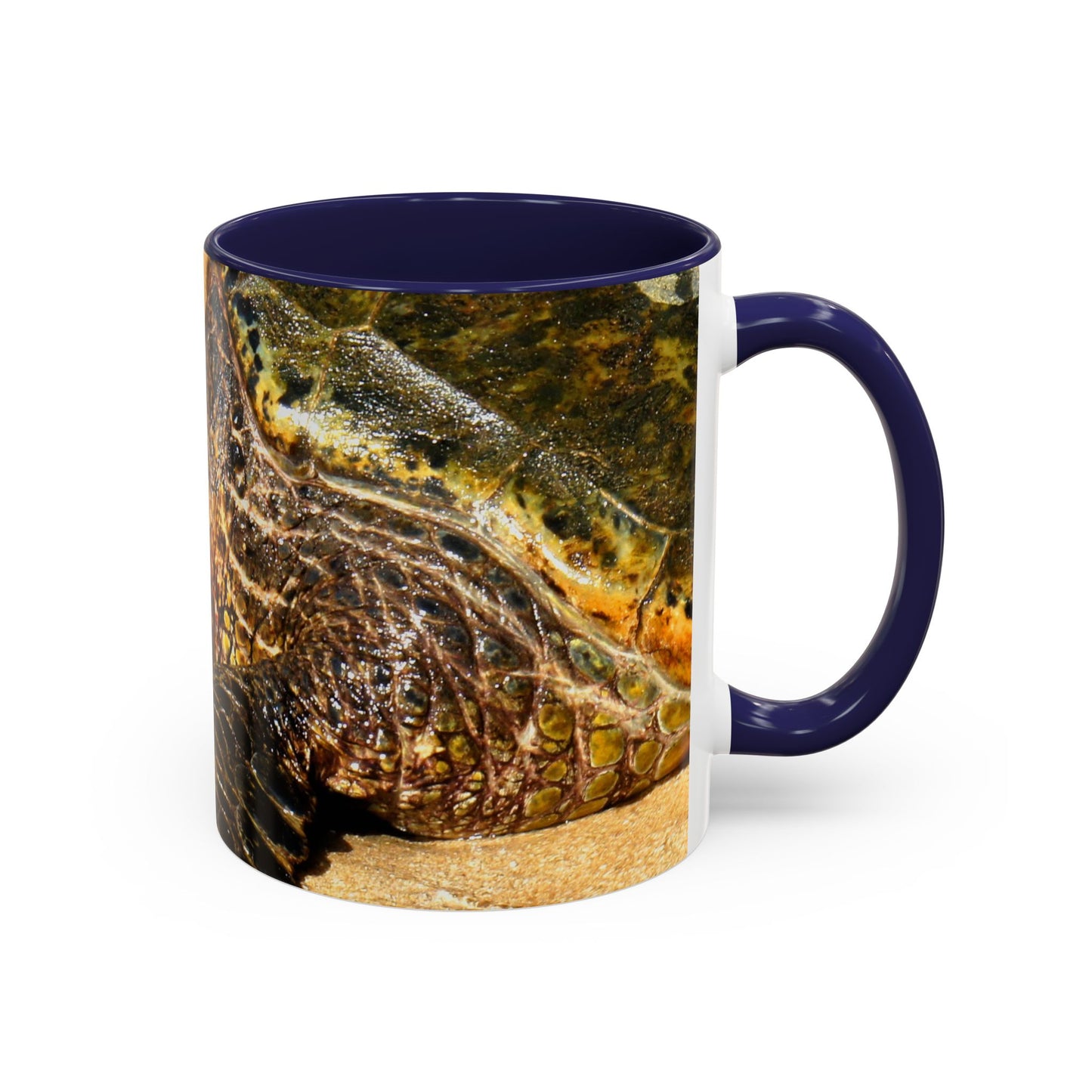 Glistening Journey - Accent Coffee Mug (11, 15oz)