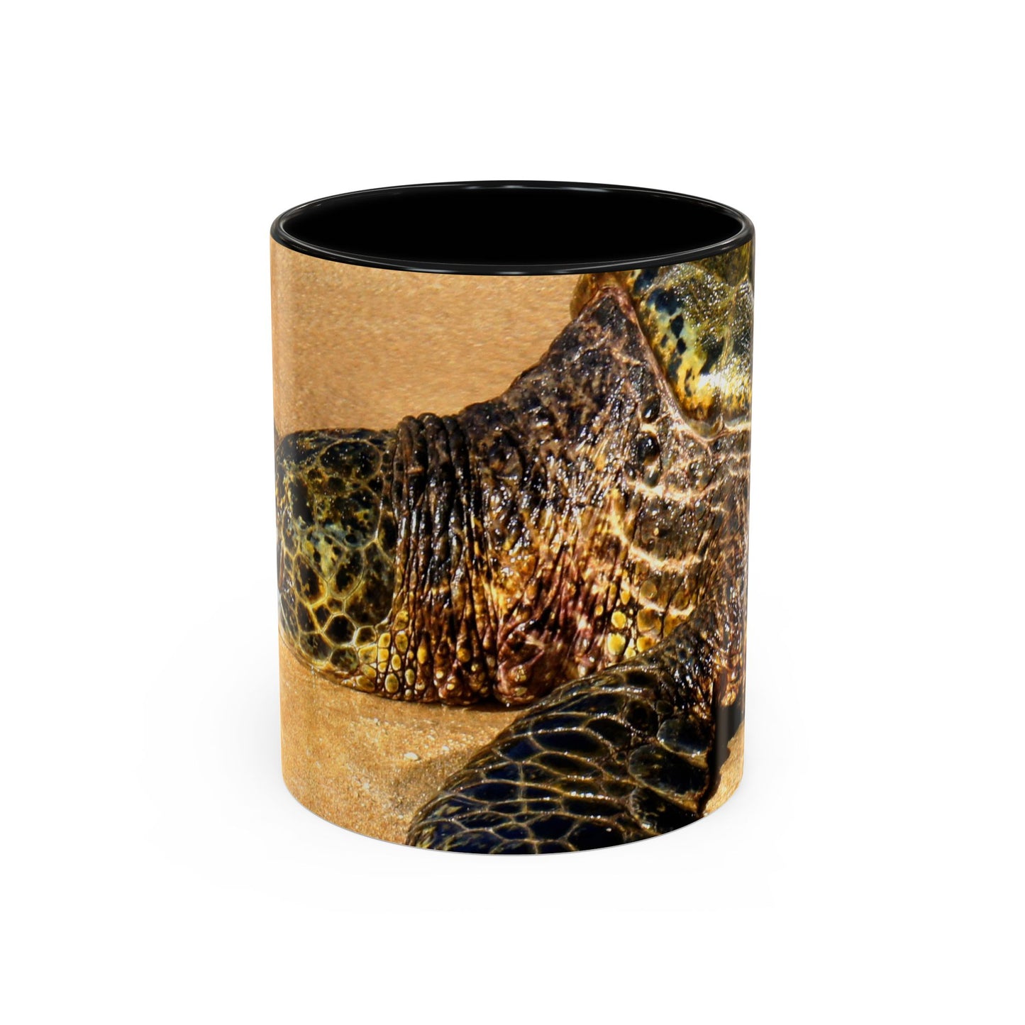 Glistening Journey - Accent Coffee Mug (11, 15oz)