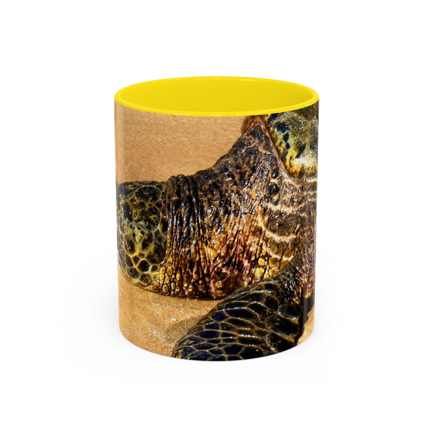 Glistening Journey - Accent Coffee Mug (11, 15oz)