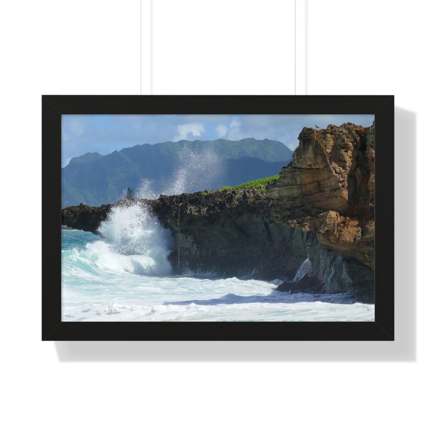 Rockin Surfer's Rope - Framed Horizontal Poster
