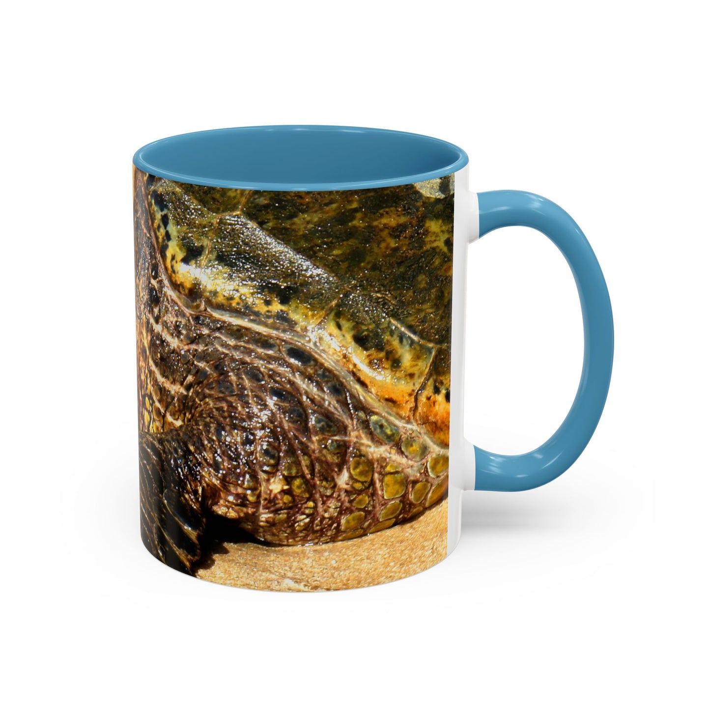 Glistening Journey - Accent Coffee Mug (11, 15oz)