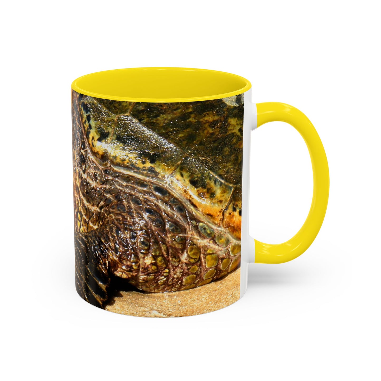 Glistening Journey - Accent Coffee Mug (11, 15oz)