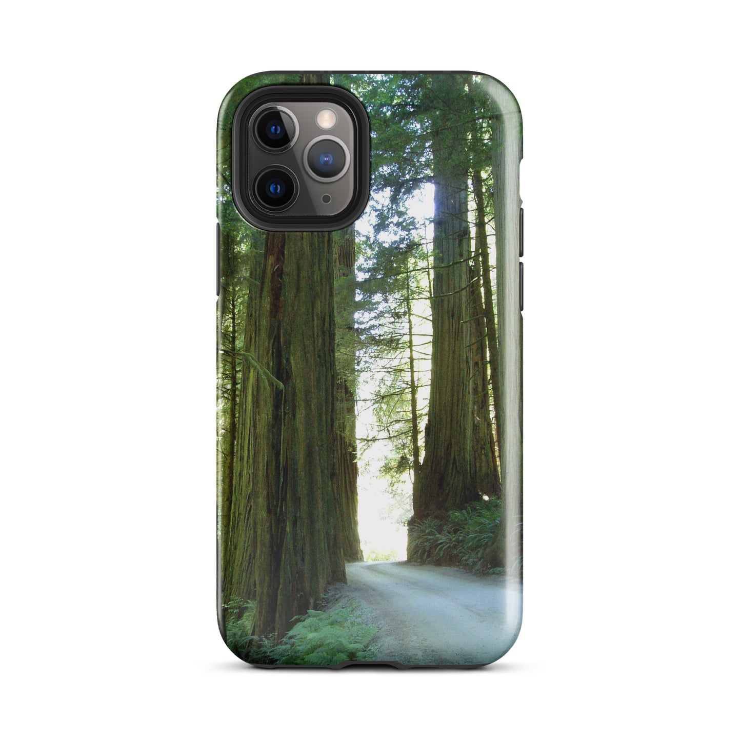 Wandering Ferns and Giants - Tough Case for iPhone ( 15 Pro Max – 11 ) - Fry1Productions