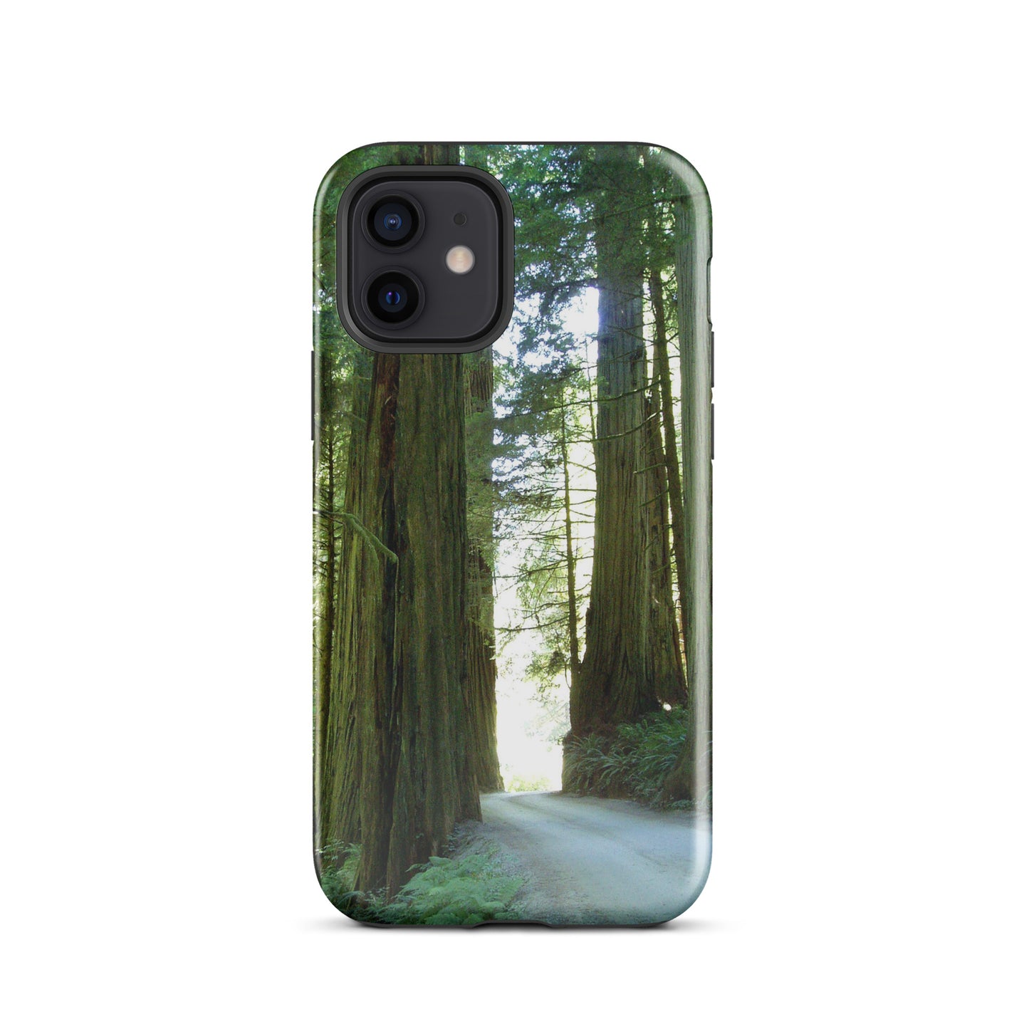 Wandering Ferns and Giants - Tough Case for iPhone ( 15 Pro Max – 11 ) - Fry1Productions